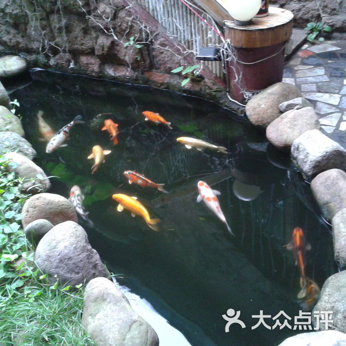 好时光院子里临近门口楼梯的小鱼塘(愿在你心