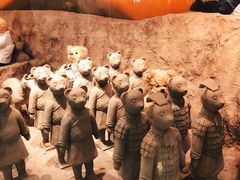 -济州岛泰迪熊博物馆