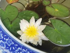 -西安市广仁寺