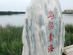 -乌梁素海景区