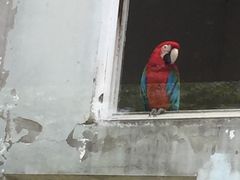 -无锡动物园·太湖欢乐园