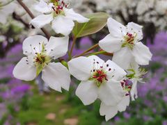 -江苏三台山国家森林公园