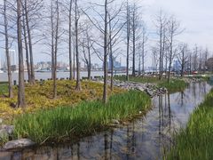 -北外滩滨江绿地