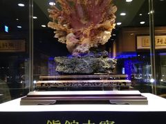 -绮丽珊瑚博物馆(台东店)