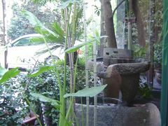 DSC00013-山外山·林语花园餐厅