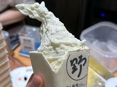-野人先生Gelato(上海长宁龙之梦店)