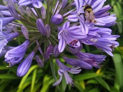 -段氏足疗养生馆(十年老店)