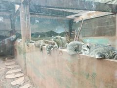 -昆明动物园