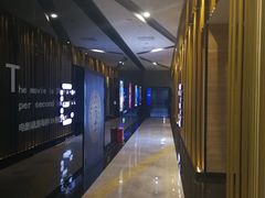 -上影国际影城(普陀绿地缤纷城店)