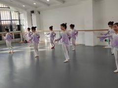 -西安小天鹅艺术团(曲江Alice店)