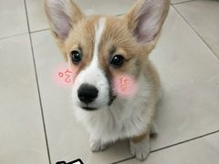 -金椒渔·清真(五中店)