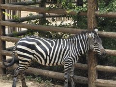 -太原动物园