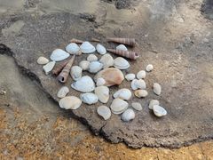 -海角城白海豚浪漫海滩