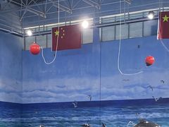 -多彩贵州城极地海洋世界