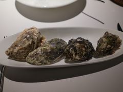 -Oyster Talks 四度蚝法餐厅
