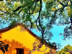 -丝绸小镇荻港古村