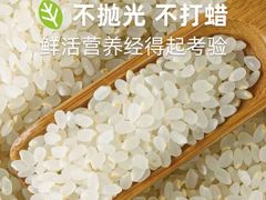 -精灵农庄