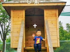 -羊亭河湿地公园