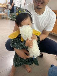 -BabyA 专业婴童摄影(古北时尚广场店)