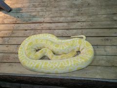 -石家庄市动物园