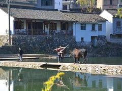 -鹿亭中村