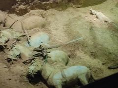 -秦始皇帝陵博物院-丽山园