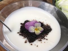 自制酸奶-丽江庭院之爱在路上(西单店)