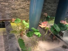 -大桶大足浴(金桥店)