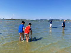 -柳湖沙月沙滩公园