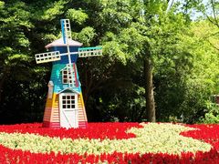 -上海共青森林公园