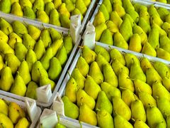 -大连果菜批发市场