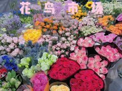 -双季花艺园艺市场(浦东店)