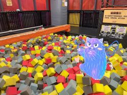 点击看大图 -嗨翻Hi-Fun竞技主题乐园·蹦床团建生日聚会(五棵松华熙店)