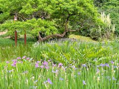 -广西壮族自治区药用植物园