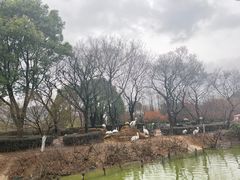-无锡动物园·太湖欢乐园