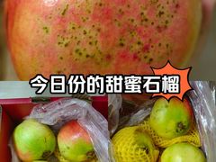 -百果园PAGODA(南沙路店)