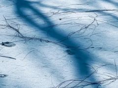 -后海公园