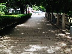 -黄埔古港