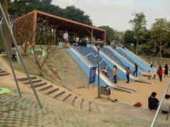 -宝安西湾红树林湿地公园