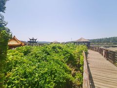 -呀路古热带植物园