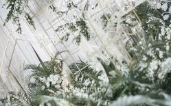 -虹桥迎宾馆·宴会厅