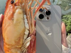 -小陆莲花蟹园农家乐(莲花岛店)