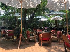 -Fern Forest Cafe