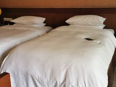 -中铁花水湾温泉酒店(大邑店)