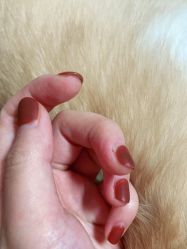 -MONICA BOX美甲美睫