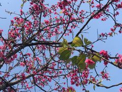 -映月湖公园