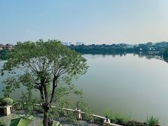 -美的鹭湖森林度假区