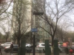 -酷酷兔少儿拓展天地