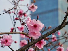 -艾溪湖湿地公园