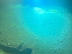 -白鹤梁水下博物馆